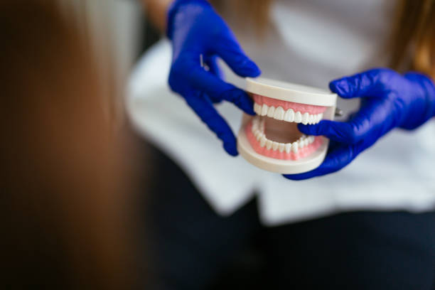 Professional Holistic Dental Care Services in Miller Place, NY